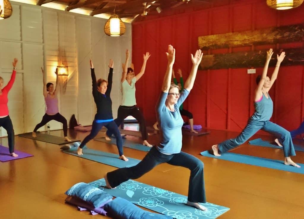 YOGA CLASSES – Viroga Yoga